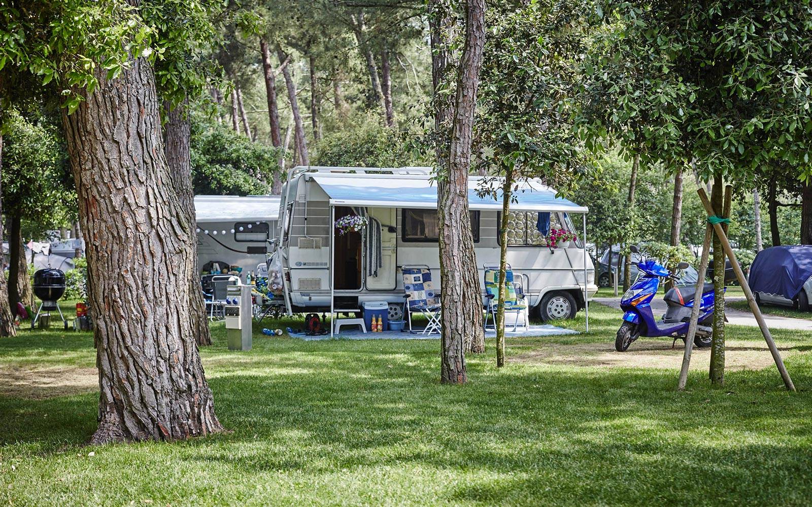 Piazzola Pineta